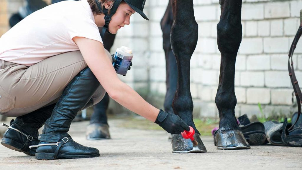 Hoof-Health-Benefits